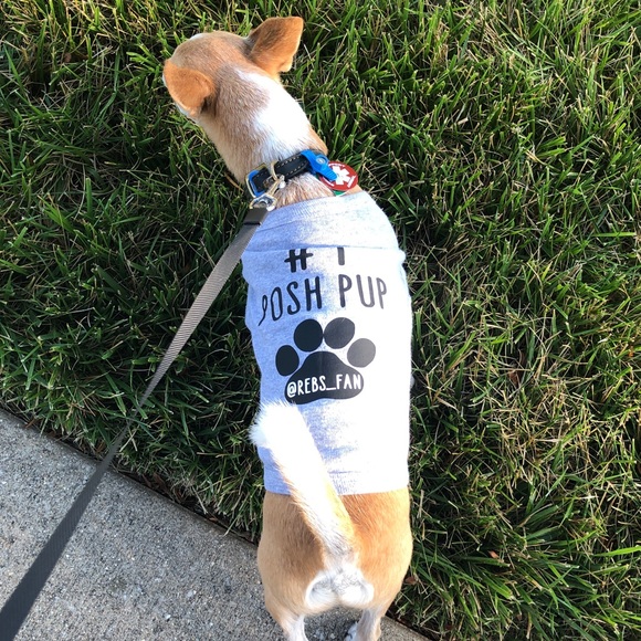 Poshmark Ambassador: Caro and #1 employee: Kitsu - Picture 3 of 9